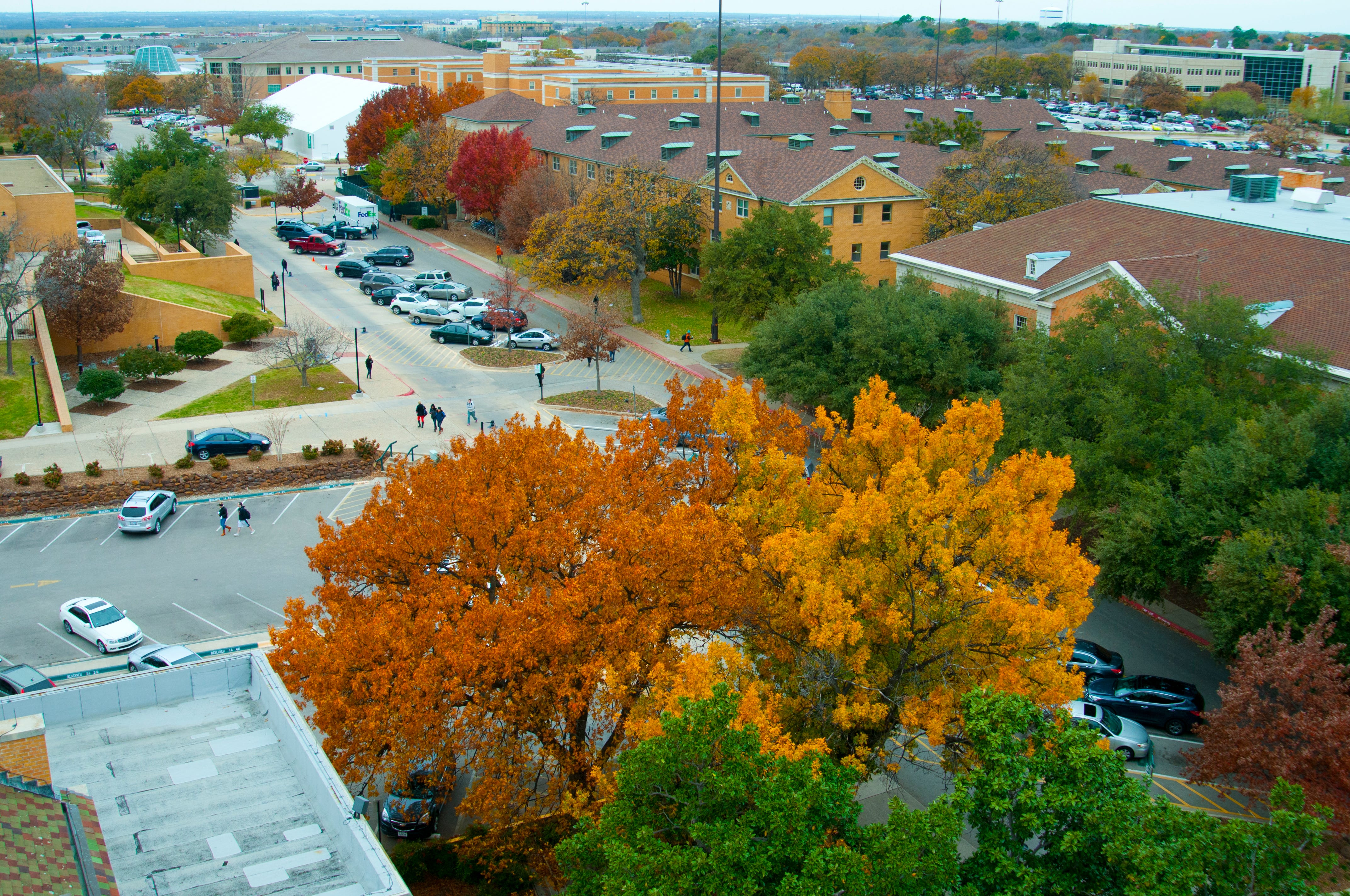 University of North Texas campus.