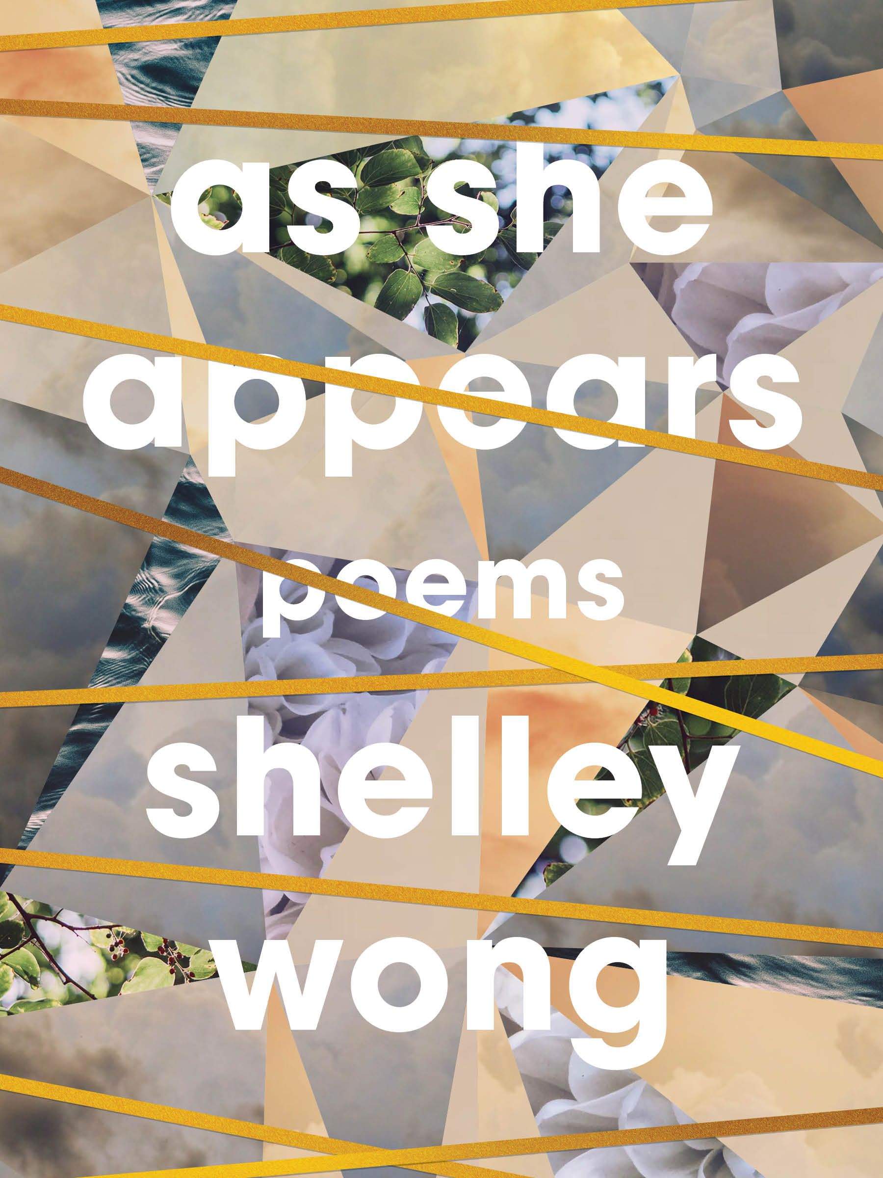 cover of As She Appears by Shelley Wong