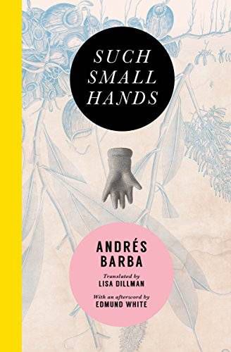 cover of Such Small Hands by Andres Barba