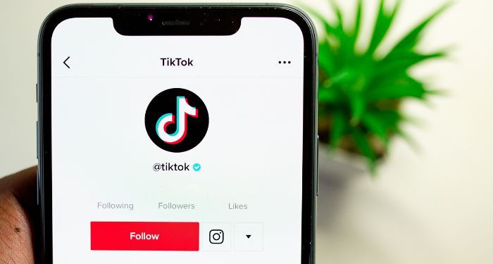brown-skinned hand holding a smart phone with TikTok on the screen