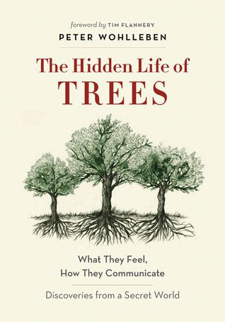 Hidden Life of Trees by Wohlleben cover
