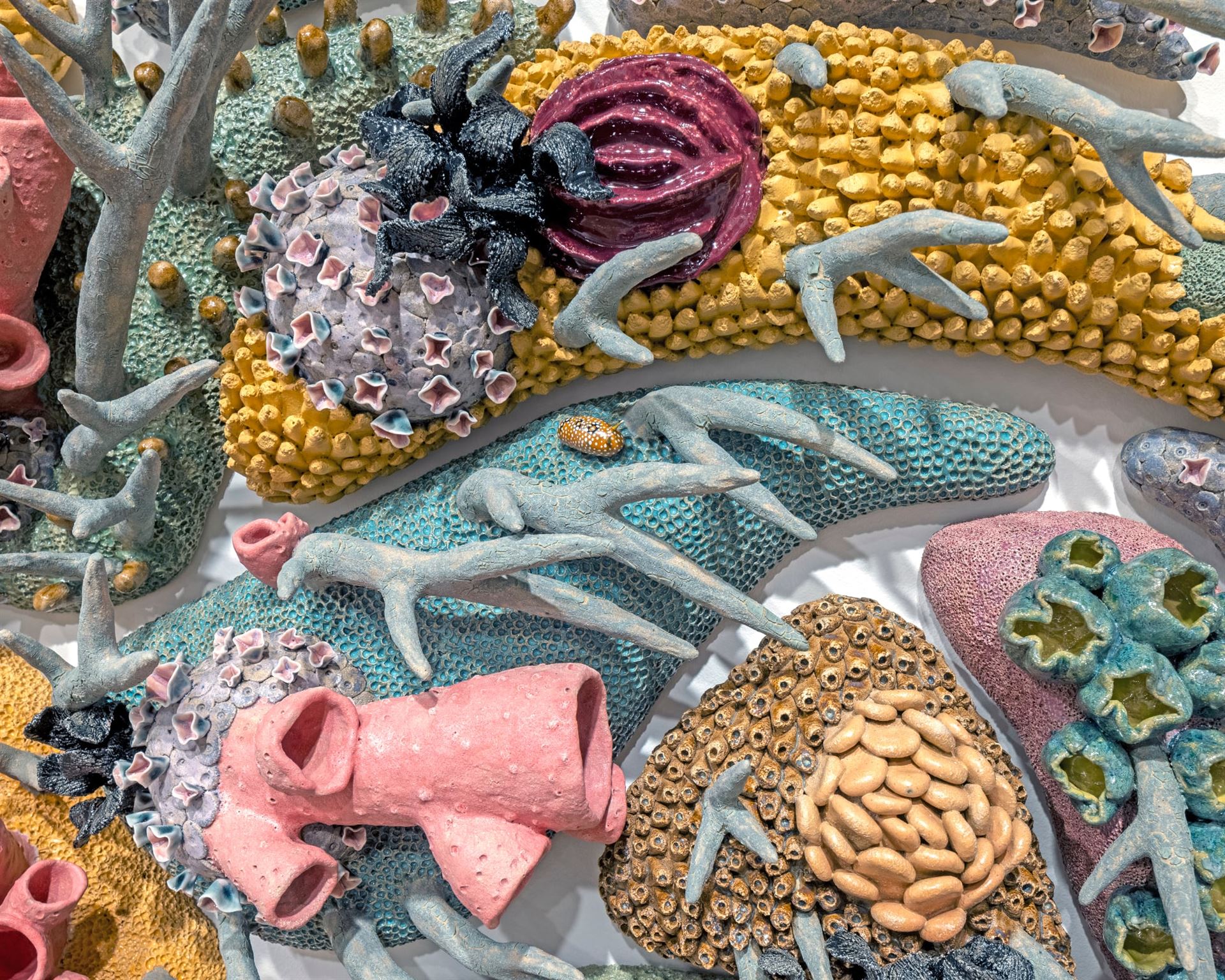 A detail of a colorful ceramic wall sculpture in many colors of coral.