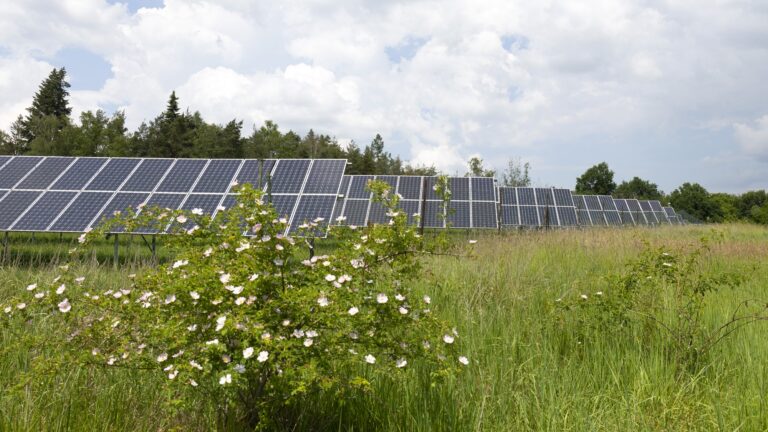 Solar Farm