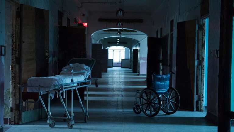 west virginia asylum